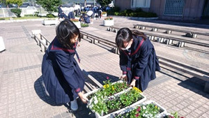 Img_20171111_105043