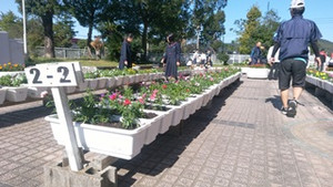 Img_20171111_111040